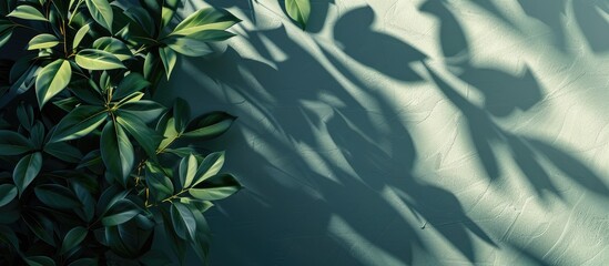 Poster - Realistic overlay shadow creating an aesthetic background with copy space image