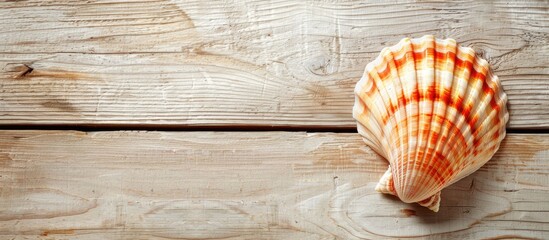 Leinwandbilder - Light wooden background with a sea shell providing copy space image