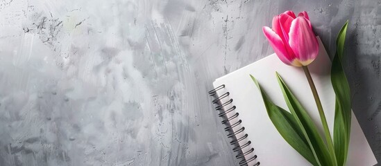 Poster - Pink tulip and spiral notebook on gray concrete surface ideal for a copy space image