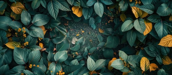 Leinwandbilder - Nature themed creative concept idea layout featuring leaves surrounding a blank copy space image