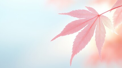 Wall Mural - A leaf with a pinkish hue is shown against a blue background
