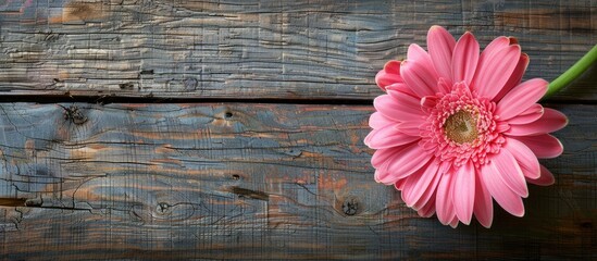 Sticker - Copy space image featuring a pink gerbera flower as decoration on a rustic wooden table