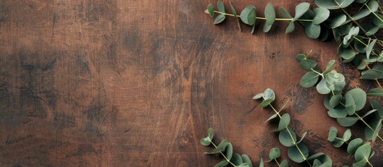 Aufkleber - A banner with copy space is placed on a textured brown table decorated with fresh eucalyptus branches