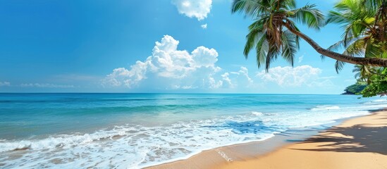 Poster - Tropical beach paradise during the holiday season deserted with abundant copy space image