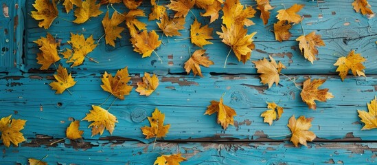 Fototapete - Season wallpaper featuring bright yellow autumn leaves against a rustic blue backdrop with copy space image