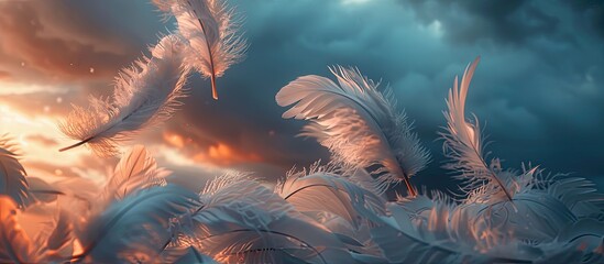 Aufkleber - Dark romantic evening sky Black fluffy clouds gentle pastel hues asymmetrical silhouette and feathers lit by sunlight Selective focus on texture with a blurred background. with copy space image