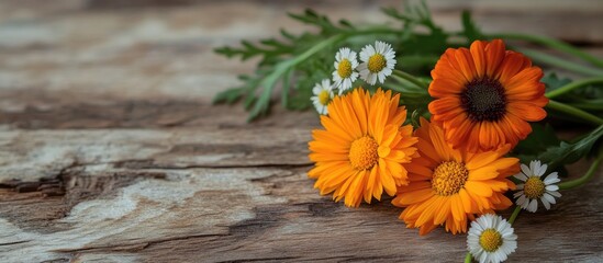 Poster - Close up of calendula chamomile and green twig on a wooden surface. with copy space image. Place for adding text or design