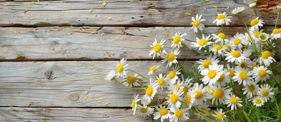 Poster - A frame crafted from lovely chamomile flowers set against a wooden background. with copy space image. Place for adding text or design