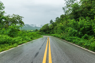 Canvas Print - Wet asphalt road with beautiful view of misty landscape