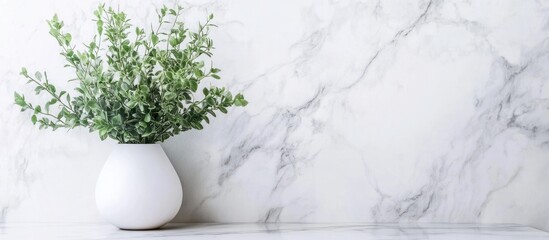 Green Plant in White Vase on Marble Background