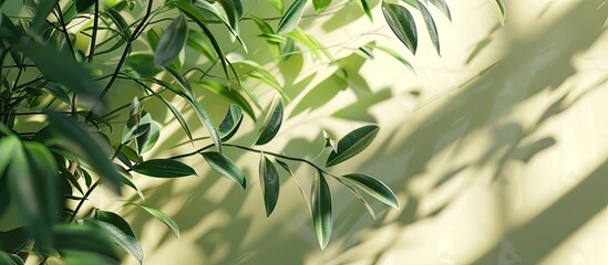 Wall Mural - summer setting with leaf shadows casting background material creating a copy space image