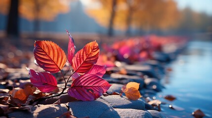 Wall Mural - fallen autumn leaves  