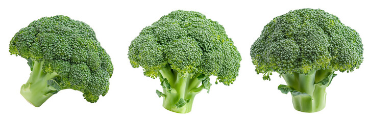 Wall Mural - Set of fresh broccoli head isolated on a transparent background