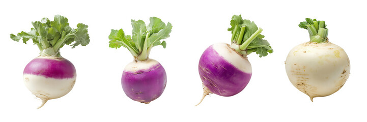 Wall Mural - Set of fresh, whole turnip isolated on a transparent background 