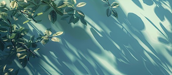 Wall Mural - summer setting with leaf shadows casting background material creating a copy space image