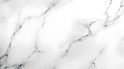 Poster - Luxurious White Marble Texture Background with Delicate Grey Veins and Polished Surface