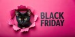 © Alena - Black Friday promotion banner with black cat tearing hole in pink paper background and copy space