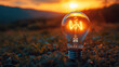 © ZattaVoga - light bulb idea concept in front of setting sun nature background sunset inspired