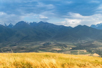 Dry yellow meadow grasses and view of mountain range.