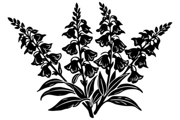 Poster - Black silhouette representing two blooming hyacinths flowers