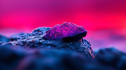  A close-up of a rock against a backdrop of a pink and purple sky