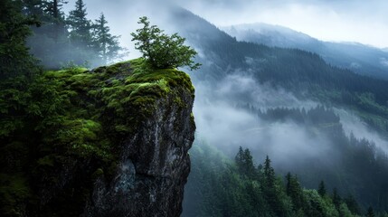 Wall Mural -  A lush green forest nestles against a tall cliff, adjacent to another forest teeming with verdant trees