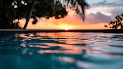 Wall Mural -  A palm tree stands before a sunset over the water