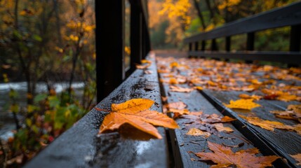 Wall Mural -  A tight shot of a bench with scattered leaves beneath it, and a flowing river in the background