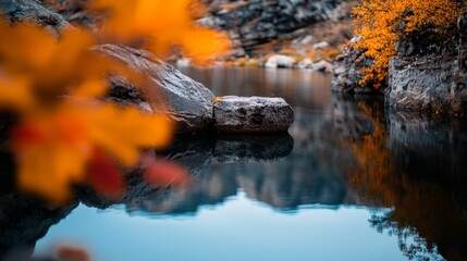 Canvas Print -  A body of water with a rock in its center and a tree submerged in the depths