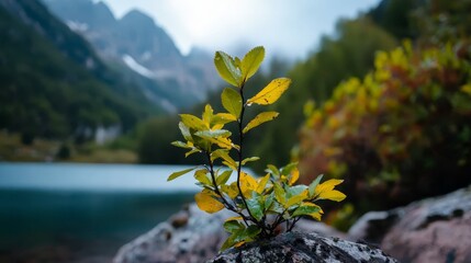 Wall Mural -  A tight shot of a plant perched on a rock by a water body, with mountain peaks rising behind