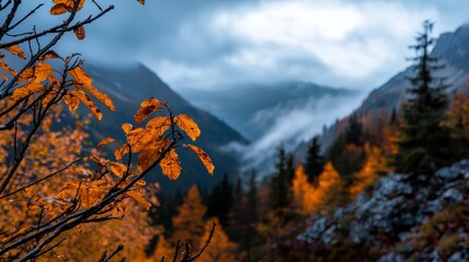 Wall Mural -  A tree displaying yellow leaves stands prominently in the foreground, while a distant mountain range is covered in clouds and blue-gray peaks