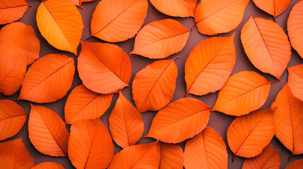 Wall Mural - Vibrant Autumn Leaves Texture for Fall Designs