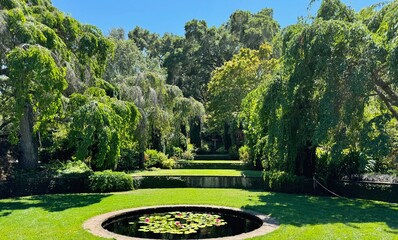 A beautiful garden with variety of trees and small waterlily pond against the blue sky