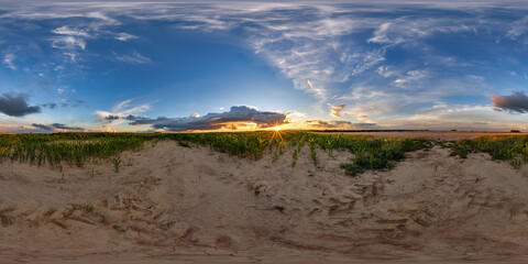Wall Mural - hdri 360 panorama on gravel road among corn fields in nasty evening before sunset in equirectangular
