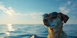 © vefimov - A cheerful dog in a life jacket enjoys a sunny day at sea.