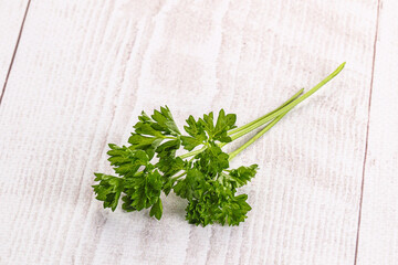 Wall Mural - Green parsley leaves heap isolated