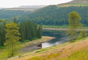 Wall Mural - Scenic view of Derwent Reservoir in Peak District National Park, UK, surrounded by lush greenery