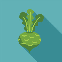 Poster - Green kohlrabi vegetable with leaves is shown growing on a blue background