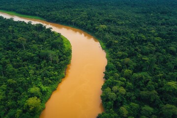 Wall Mural - Aerial View of Amazon River