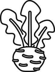 Poster - Simple and fresh organic celery root vegetable growing with leaves line icon
