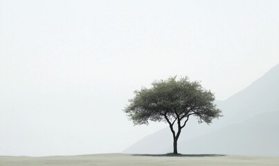Wall Mural - a lone tree stands in a field of grass
