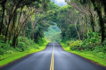 Poster - A serene road flanked by lush green trees and vegetation, extending into a misty forest.