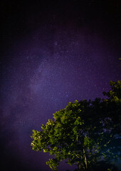 Wall Mural - bright red-violet sky northern lights and sun flares starry sky