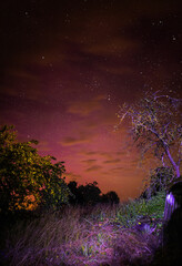 Wall Mural - bright red-violet sky northern lights and sun flares starry sky