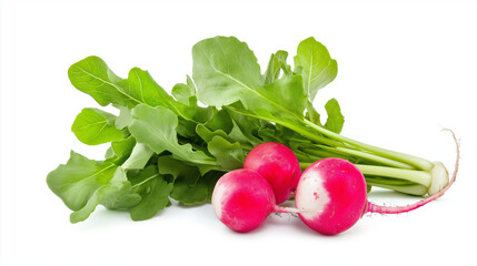 radish isolated on white background 