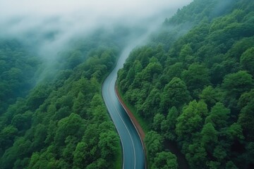 Wall Mural - A winding road cuts through a dense, lush green forest shrouded in atmospheric fog.