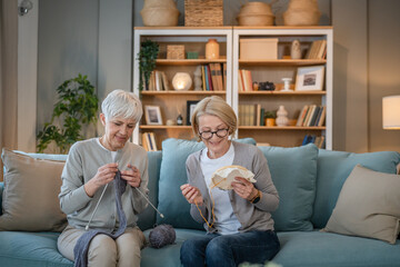 Wall Mural - two women senior mature knitting and embroidery during leisure time