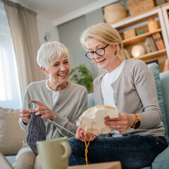 Wall Mural - two women senior mature knitting and embroidery during leisure time