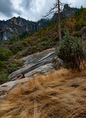 Wall Mural - 682-71 Tunnel View Trail View