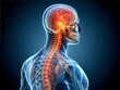 © Bounpaseuth - Medical 3D x-ray illustration of a human spine and brain, painful nerves are highlighted in red